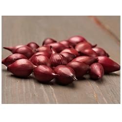 Cibuľa sadzačka červená Karmen 250g